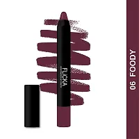 Lasting Lipsence Hd Crayon Lipstick Brown Color Matte Finish for All Skin Tones Full Coverage   Pack of 1  06 Foody  10 Gms-thumb1