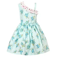 Alina-Enterprises Baby Girls Frocks Dress-thumb4