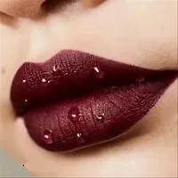 FLEETO Marun dark lipstick PACK OF 2-thumb1