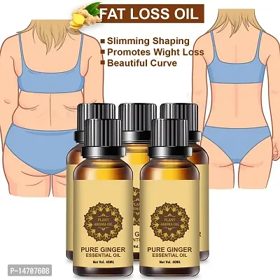 Ginger Essential Oil | Ginger Oil Fat Loss | Organics Herbal Fat Burner Fat loss fat go slimming weight loss body fitness oil Shape Up Slimming Oil For Stomach, Hips  Thigh (40ML) (PACK OF 5)