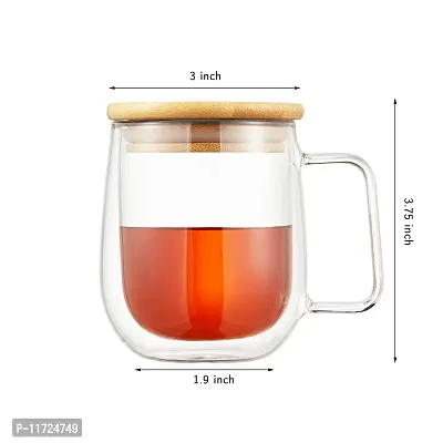 we3 Coffee Cup 250ml Glass Coffee Mug Double Walled Glass Mug Tea Cup Insulated Double Glass Cup for Latte Coffee Tea Mug with Handle (Pack of 1)-thumb2