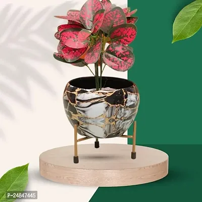 Beautiful Multicoloured Metal Planter Pot With Stand-thumb0