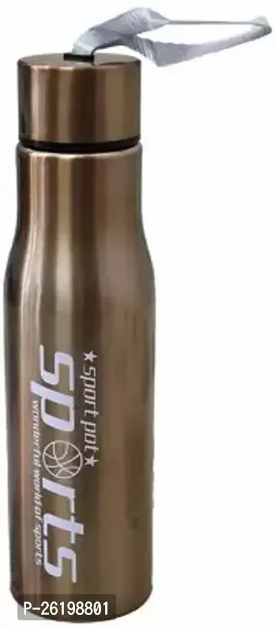 Useful Glossy Stainless Steel Refrigerator Water Bottle-thumb0