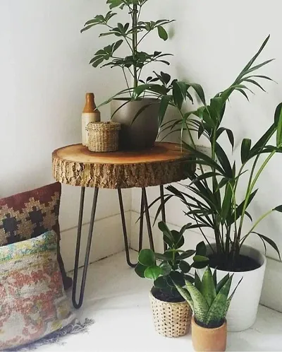 LATEST HANDICRAFTS Sheesham Wood Slab Beautiful End Table | Small Coffee Table | Side Table Plant  lamp Stand | Balcony Table | Indoor and Outdoor Stool with bark (30 x 30 x 33 cm)