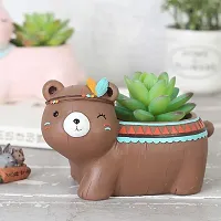 Brown Bear Pot-thumb3