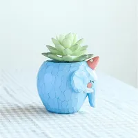 DIAMOND ELEPHANT POT-thumb4