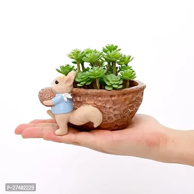 Squirrel Pot