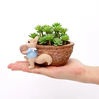 Squirrel Pot-thumb4