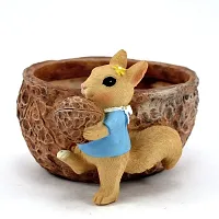 Squirrel Pot-thumb1