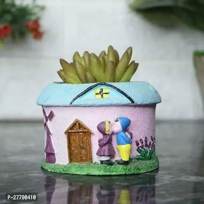 Succulent with Pots