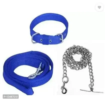 Combo Of Collar Leash And Chain Dog Belt With Silver Chain Dog Collar  Chain Medium Size Dog Collar Width 20 Mm (Small, Blue)