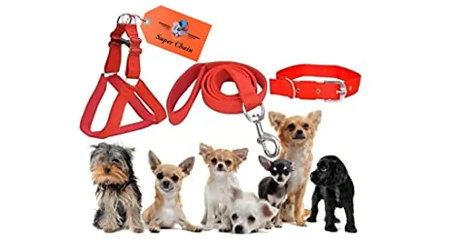 Limited Stock!! Pet Supplies 