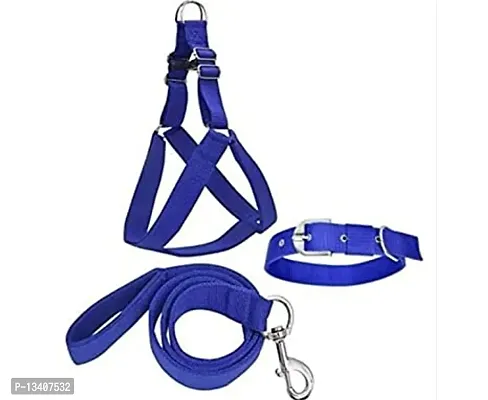 Adjustable Nylon Dogs Leash Harness And Collar Combo, Suitable For All Dogs Age (Medium, Blue)
