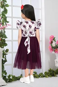 Flawsome Staylish Girl Frock PURPLR Net Frock by Likado Fashion in Most Selling 2023 Hit Dising-thumb1