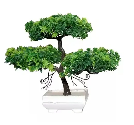 Limited Stock!! Plant & Planters 