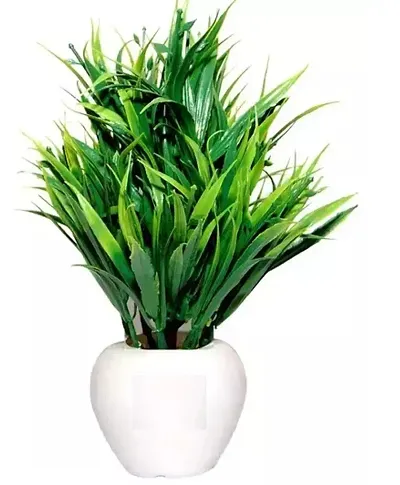 Limited Stock!! Plant & Planters 