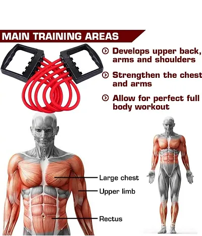 Chest expander back discount exercises