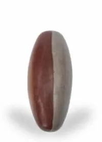 Natural 3 Inch Narmadeshwar Shivling Stone for Jaldhari for Pooja Abhishek of Lord Shiva - Brown-thumb1