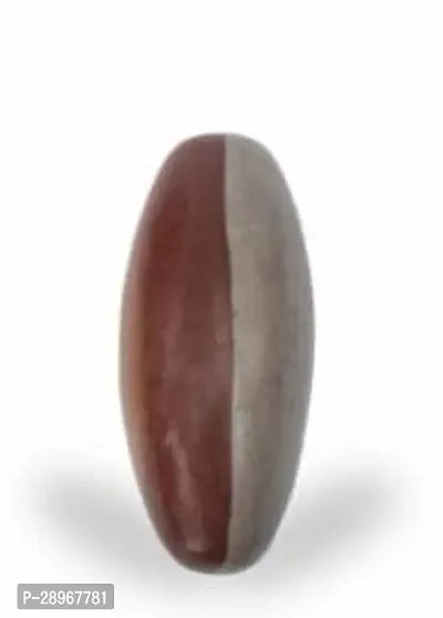 Natural 3 Inch Narmadeshwar Shivling Stone for Jaldhari for Pooja Abhishek of Lord Shiva - Brown-thumb2