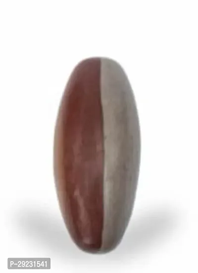 Natural 3 Inch Narmadeshwar Shivling Stone for Jaldhari for Pooja Abhishek of Lord Shiva from Narmada River Color - Brown-thumb2