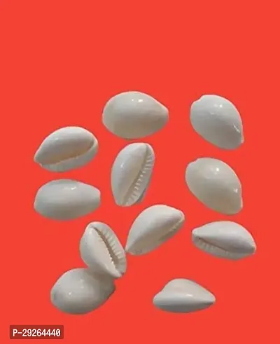 Natural Kodiya, Kawdi, Kaudi Cowrie Shells for Laxmi and Diwali Pooja, White -Set of 11 Pieces