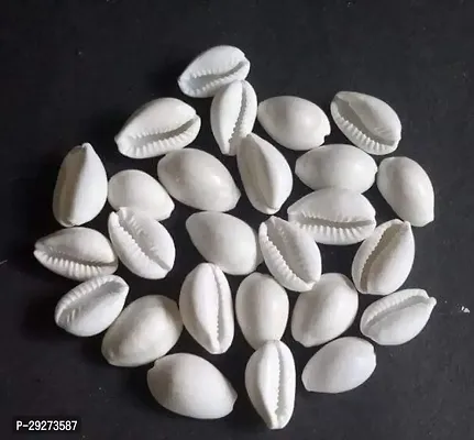 White Kodi/Laxmi Cowdi/Kauri/Kowri/Cowry/Kaudi/Cowrie Pack of 51 Pcs for Laxmi and Diwali Pooja Kaudi