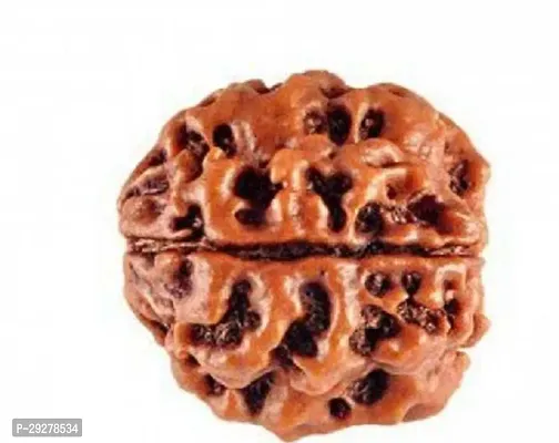 3 Mukhi/Three FACE Original  Pure Rudraksha/Rudraksh Bead/Dana