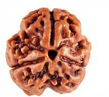 3 Mukhi/Three FACE Original  Pure Rudraksha/Rudraksh Bead/Dana-thumb1