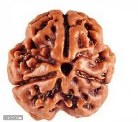 3 Mukhi/Three FACE Original  Pure Rudraksha/Rudraksh Bead/Dana-thumb2