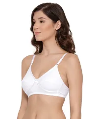 LUX LYRA Trendy Fancy Cotton Solid Basic Bras For Women-thumb1