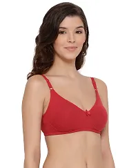 LUX LYRA Trendy Fancy Cotton Solid Basic Bras For Women-thumb2