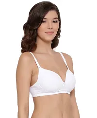 LUX LYRA Trendy Fancy Cotton Solid Padded Bras For Women-thumb2