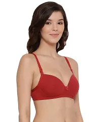 LUX LYRA Trendy Fancy Cotton Solid Padded Bras For Women-thumb2