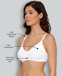 LUX LYRA Minimiser Underwired Bra-thumb1