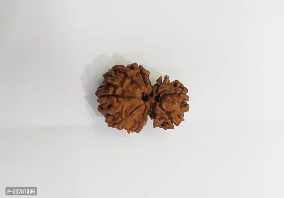 Natural 7 mukhi rudraksh (1 Piece)-thumb0