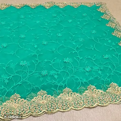 Fancy Net Sari