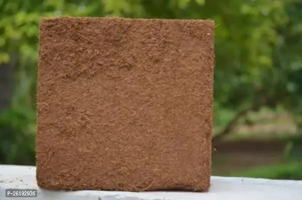 Coconut Husk Block Of Cocopeat 2KG