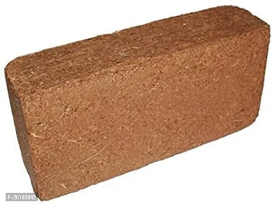 Coconut Husk Block Of Cocopeat 2KG