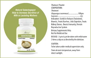 Pure Shatavari Powder (100 Grams), Satavari churna, Asparagus Root for Immunity, Women health, Height-thumb3