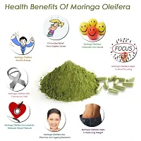 Avira Organic Moringa(Olifera)  Leaf Powder for Weight Loss-Super Food Dietary Supplement - Leaf Powder- Powerful Vitamins  Antioxidants  (100 g)-thumb4