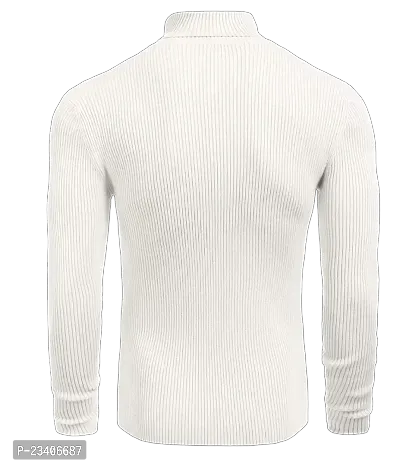 Trendy Turtle Neck Lycra Blended Sweater for Men-thumb2