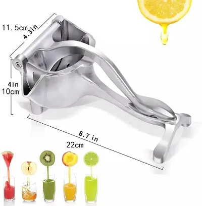 Fruit Juicers