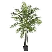 GLBALPLANTS ARECA PLAM LIVE PLANTS / Air Purifier Indoor Plants for Home v-thumb1