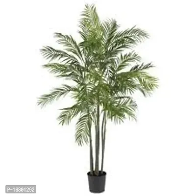 GLBALPLANTS ARECA PLAM LIVE PLANTS / Air Purifier Indoor Plants for Home v-thumb2