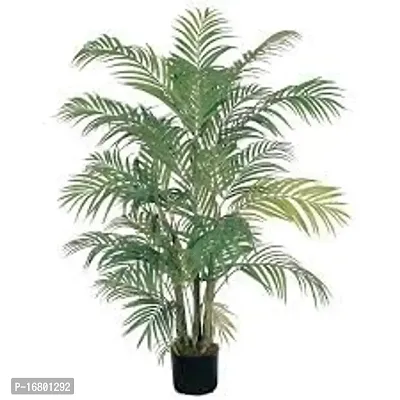 GLBALPLANTS ARECA PLAM LIVE PLANTS / Air Purifier Indoor Plants for Home v-thumb0