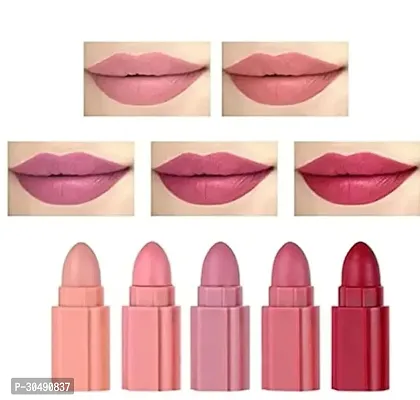 5 in 1 Lipsticks Matte Finish For Women