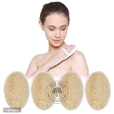 Old Tree Loofah (Body Scrubber) Pack Of 4 Piece