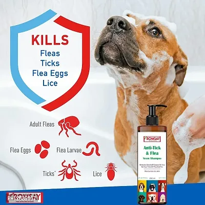 ROMSAY Anti-Tick  Flea Neem Shampoo For Dogs  Cats 200ML+ Bathing Hand Brush Flea and Tick, Allergy Relief, Anti-dandruff, Anti-fungal, Anti-itching Fresh Notes Dog Shampoo (200 ml)-thumb2