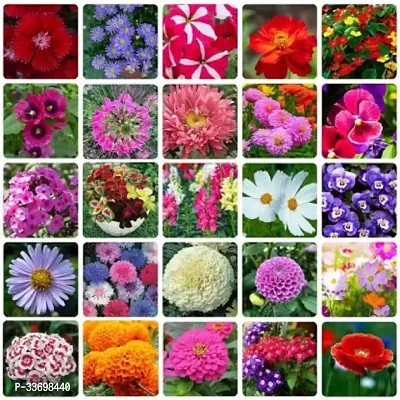 25 type of flower  combo seeds-thumb0