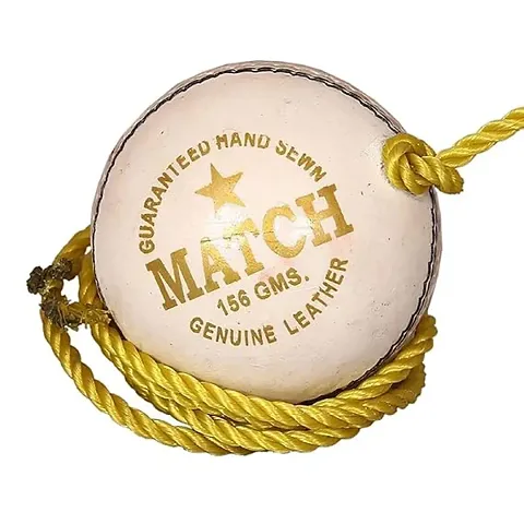 Leather Match Practice Hanging Cricket Ball